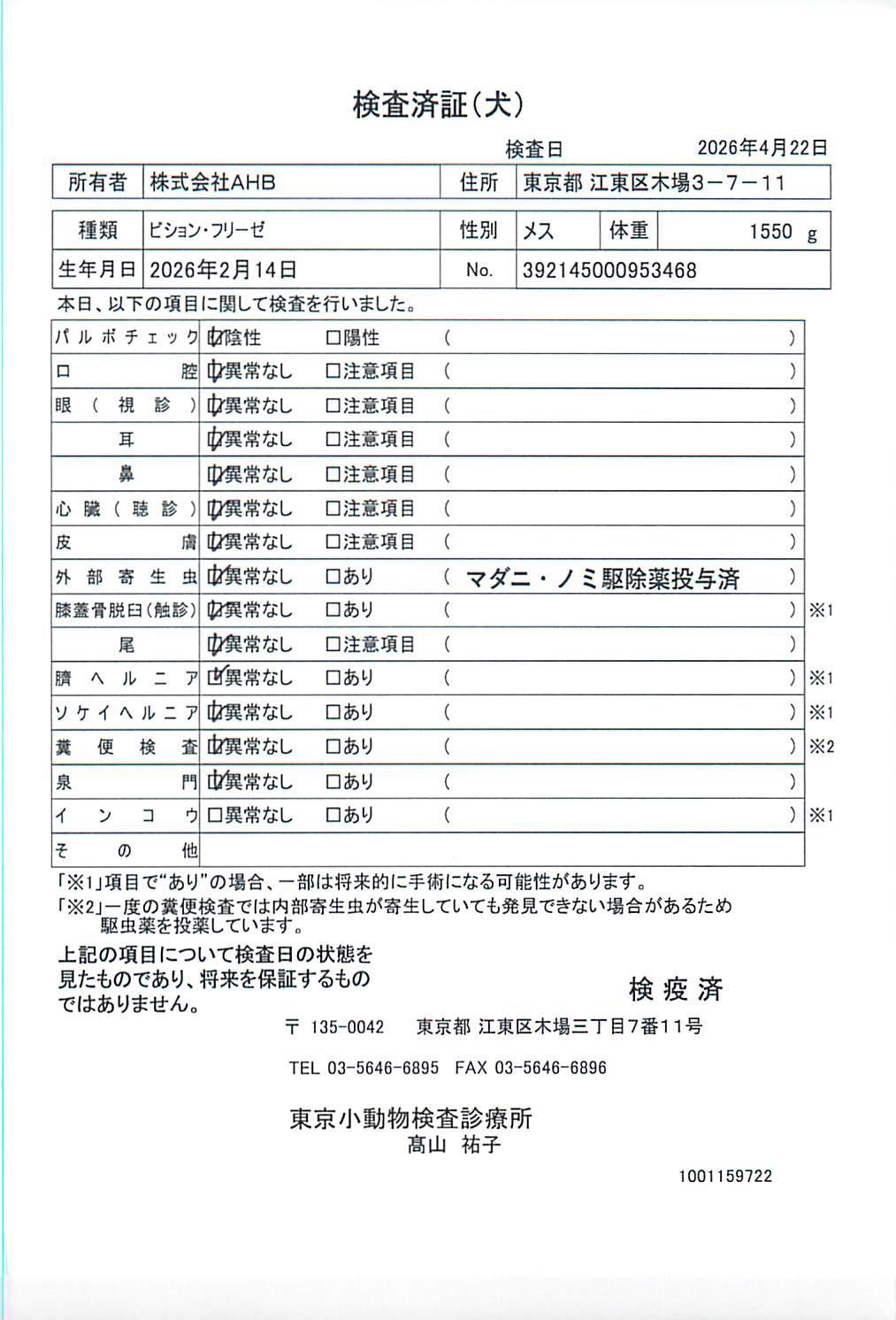ビション・フリーゼ