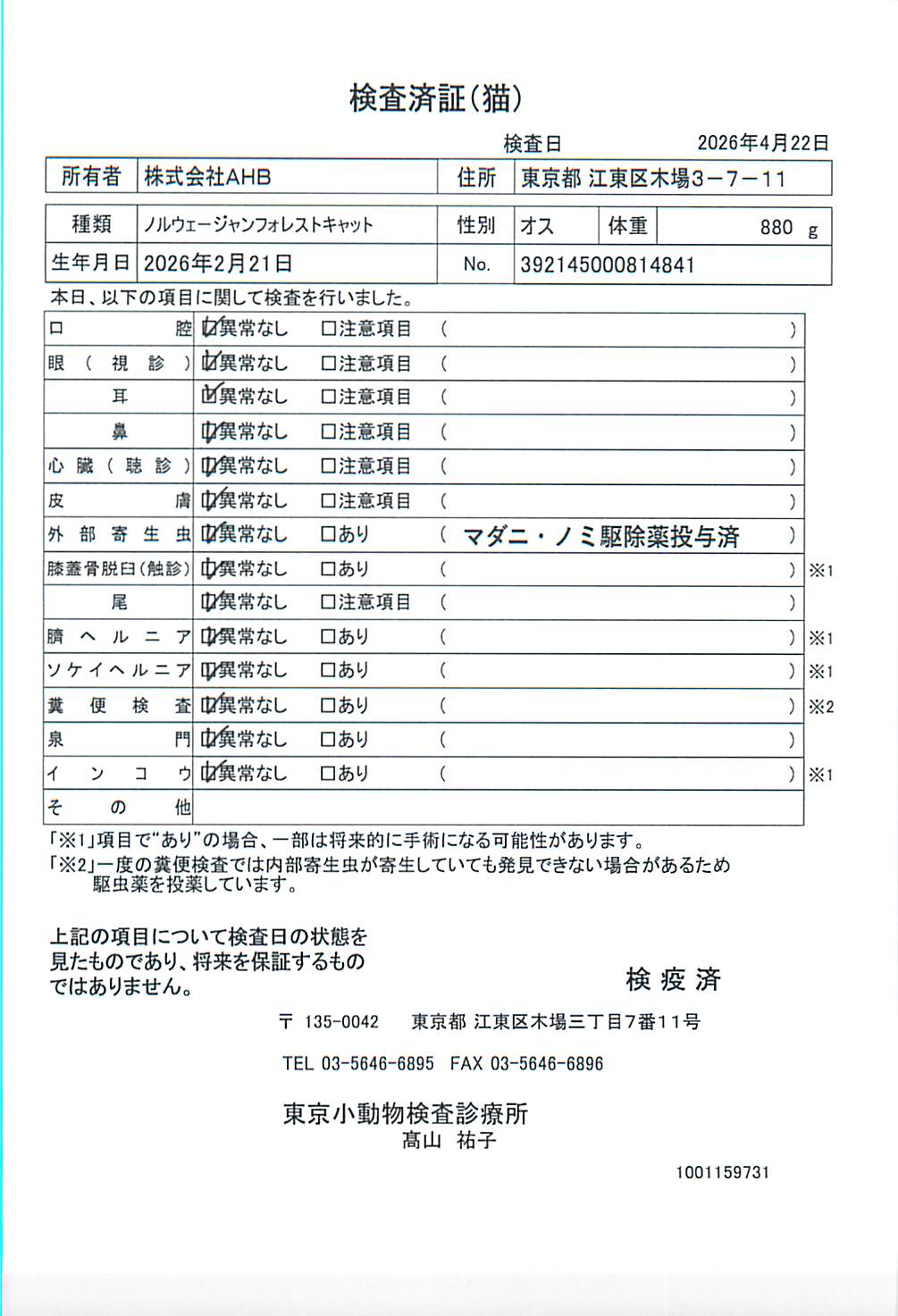ノルウェージャンフォレストキャット