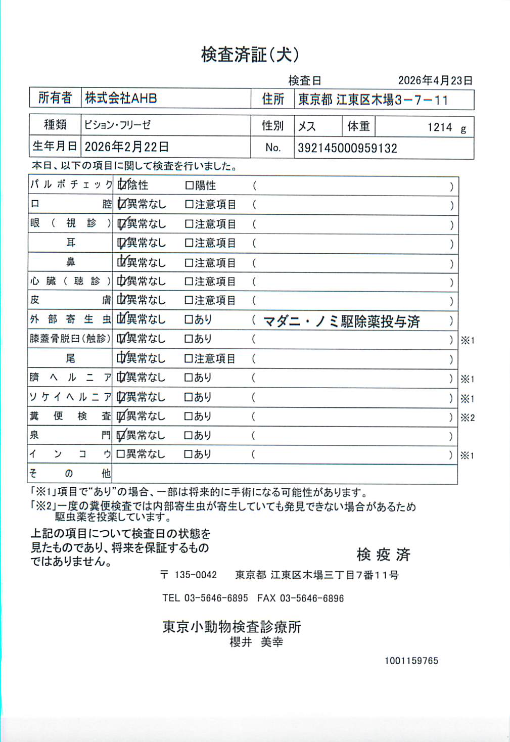 ビション・フリーゼ