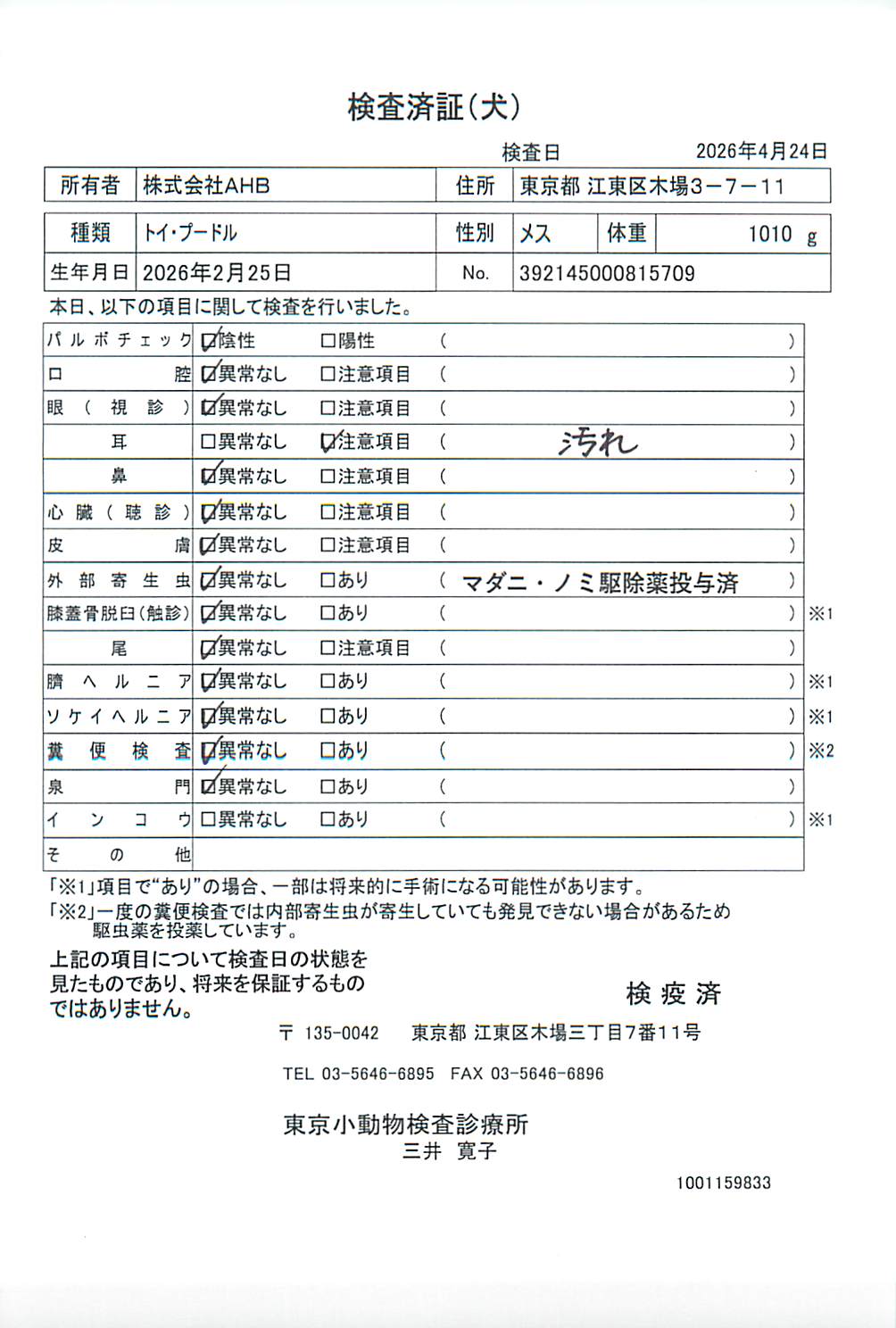 トイ・プードル