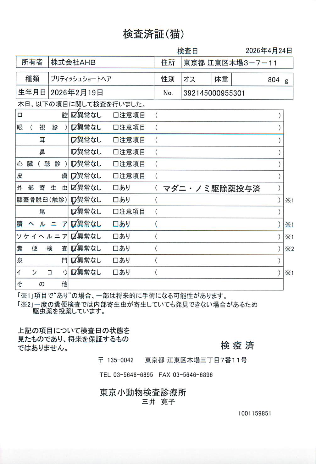 ブリティッシュショートヘア