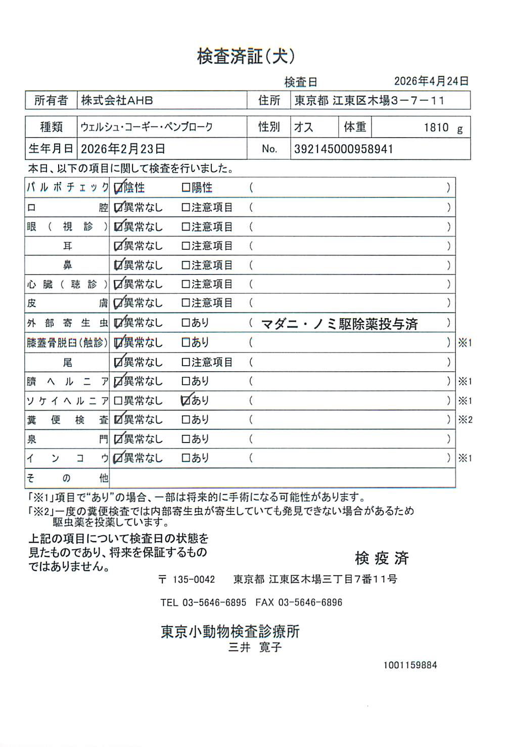 ウェルシュ・コーギー・ペンブローク