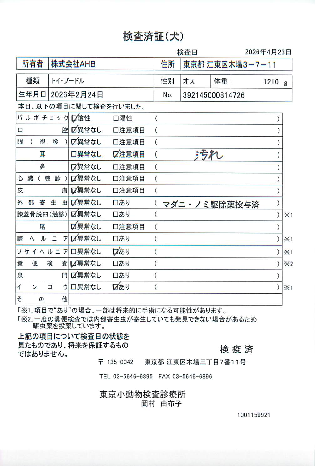 トイ・プードル