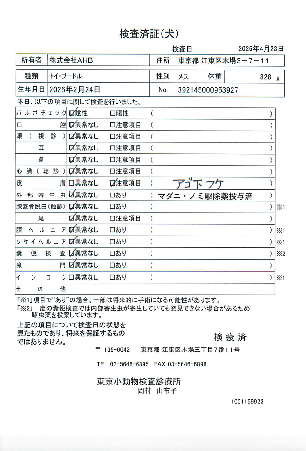 トイ・プードル