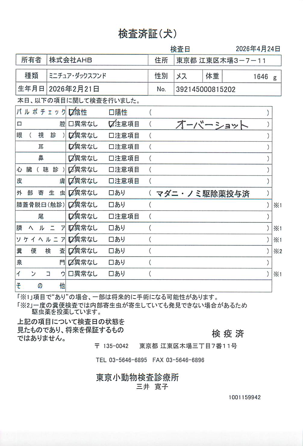 ミニチュア・ダックスフンド