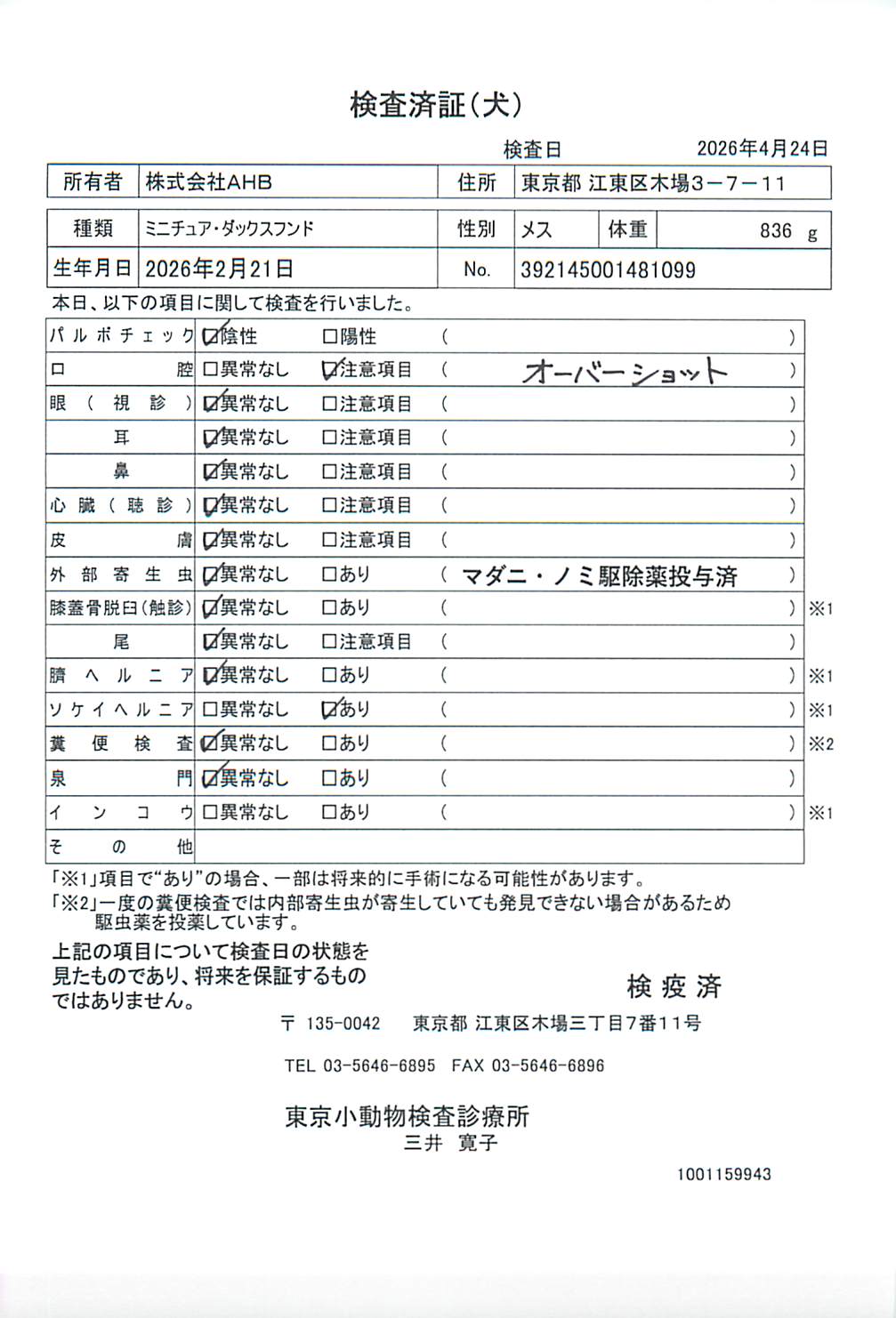 ミニチュア・ダックスフンド