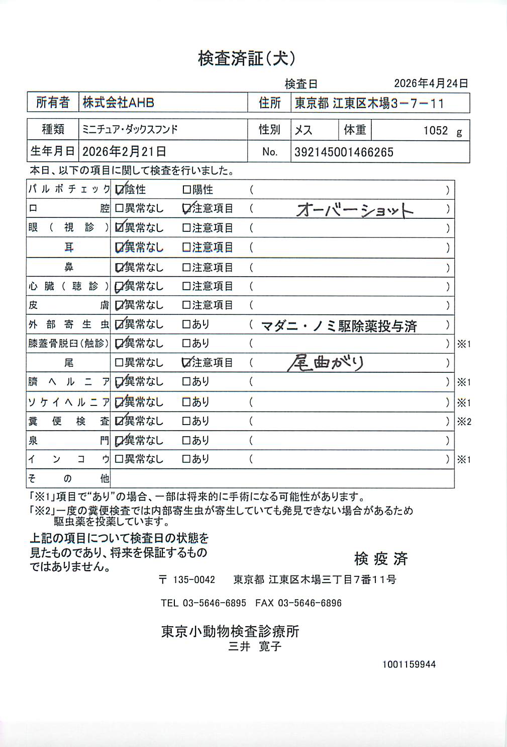 ミニチュア・ダックスフンド