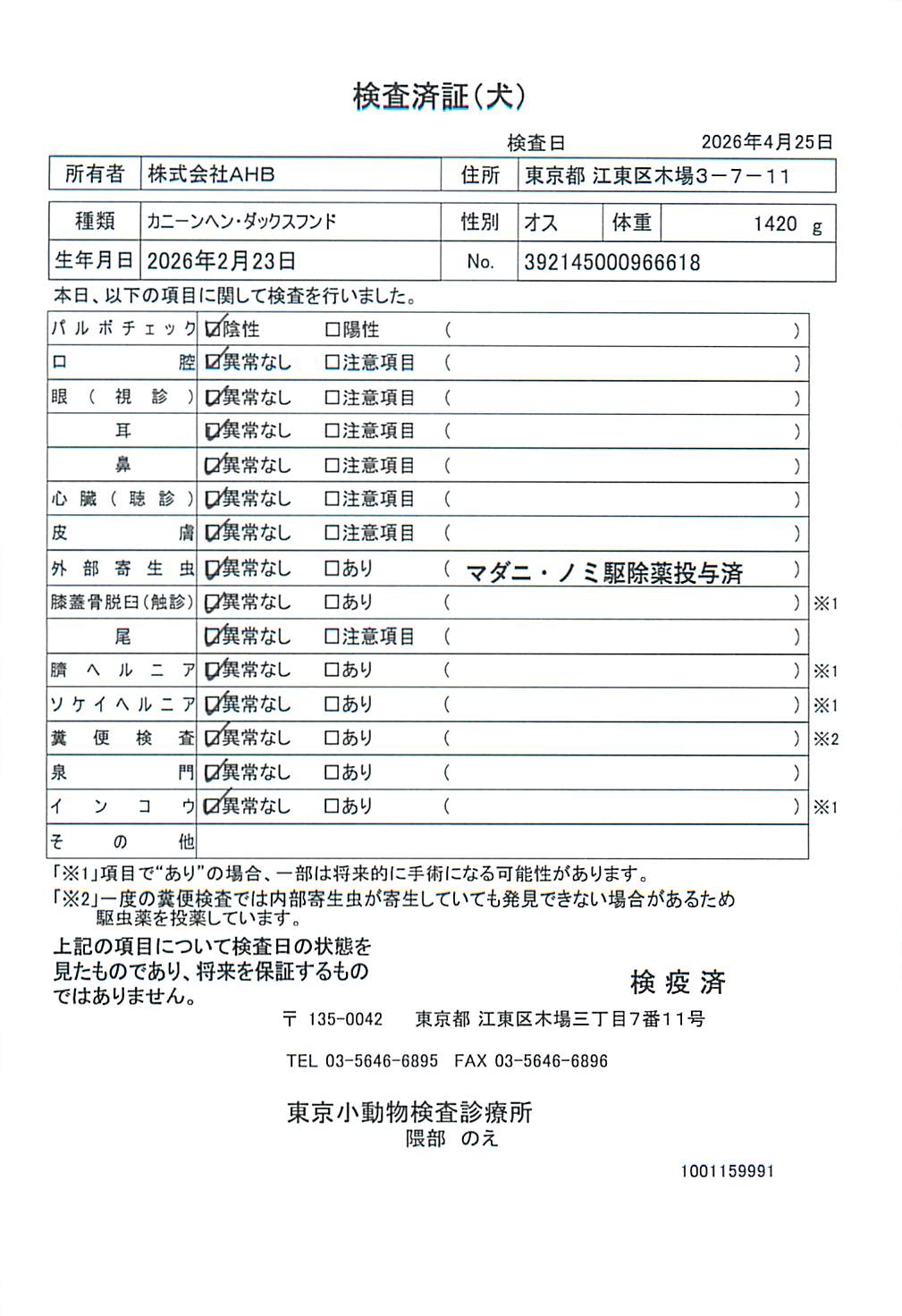 カニーンヘン・ダックスフンド