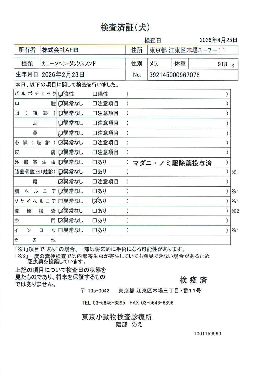 カニーンヘン・ダックスフンド