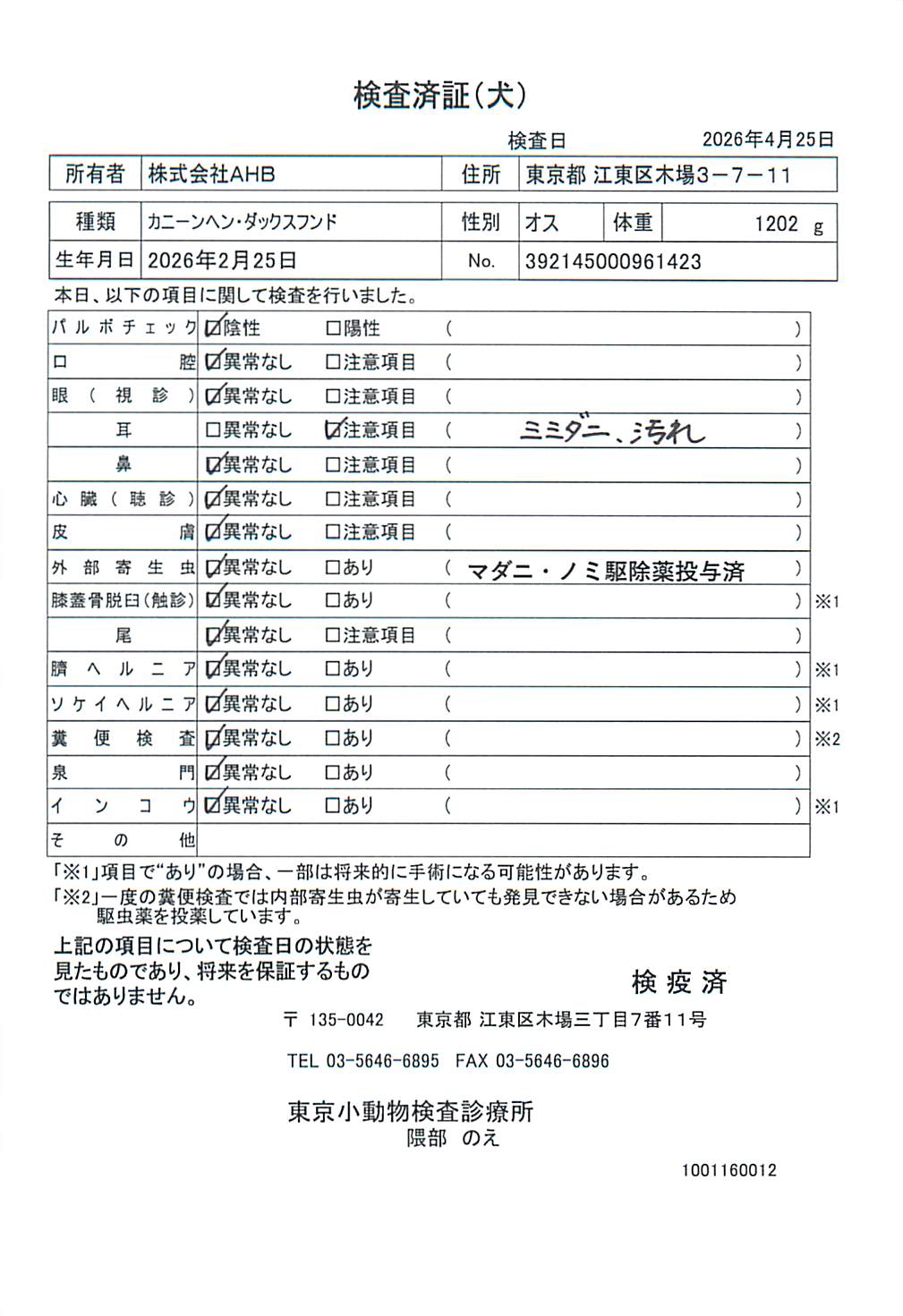 カニーンヘン・ダックスフンド