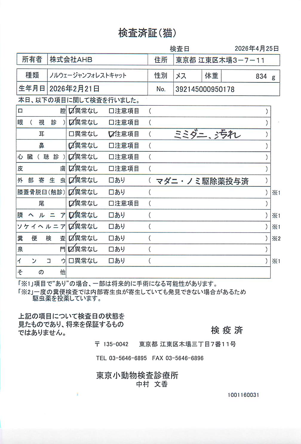 ノルウェージャンフォレストキャット