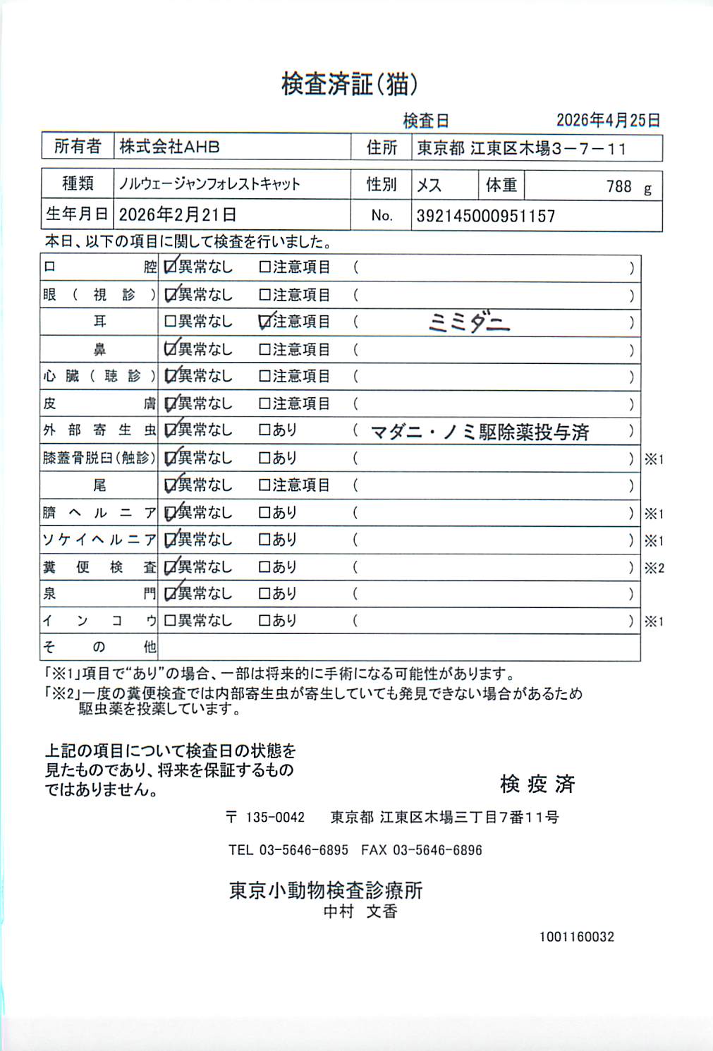ノルウェージャンフォレストキャット
