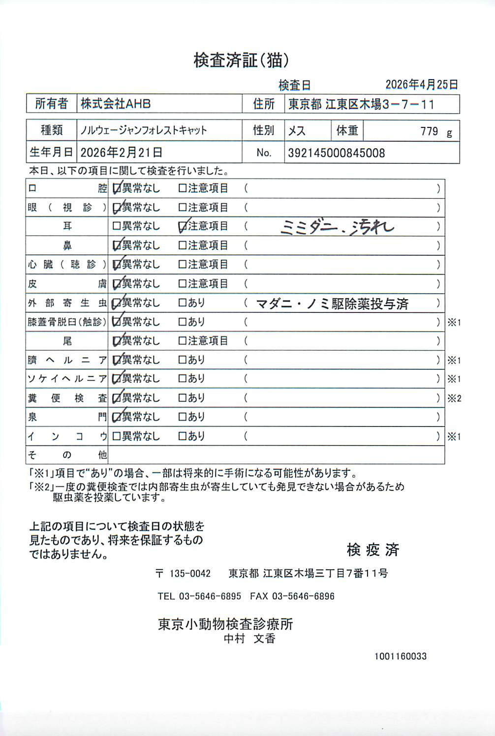 ノルウェージャンフォレストキャット