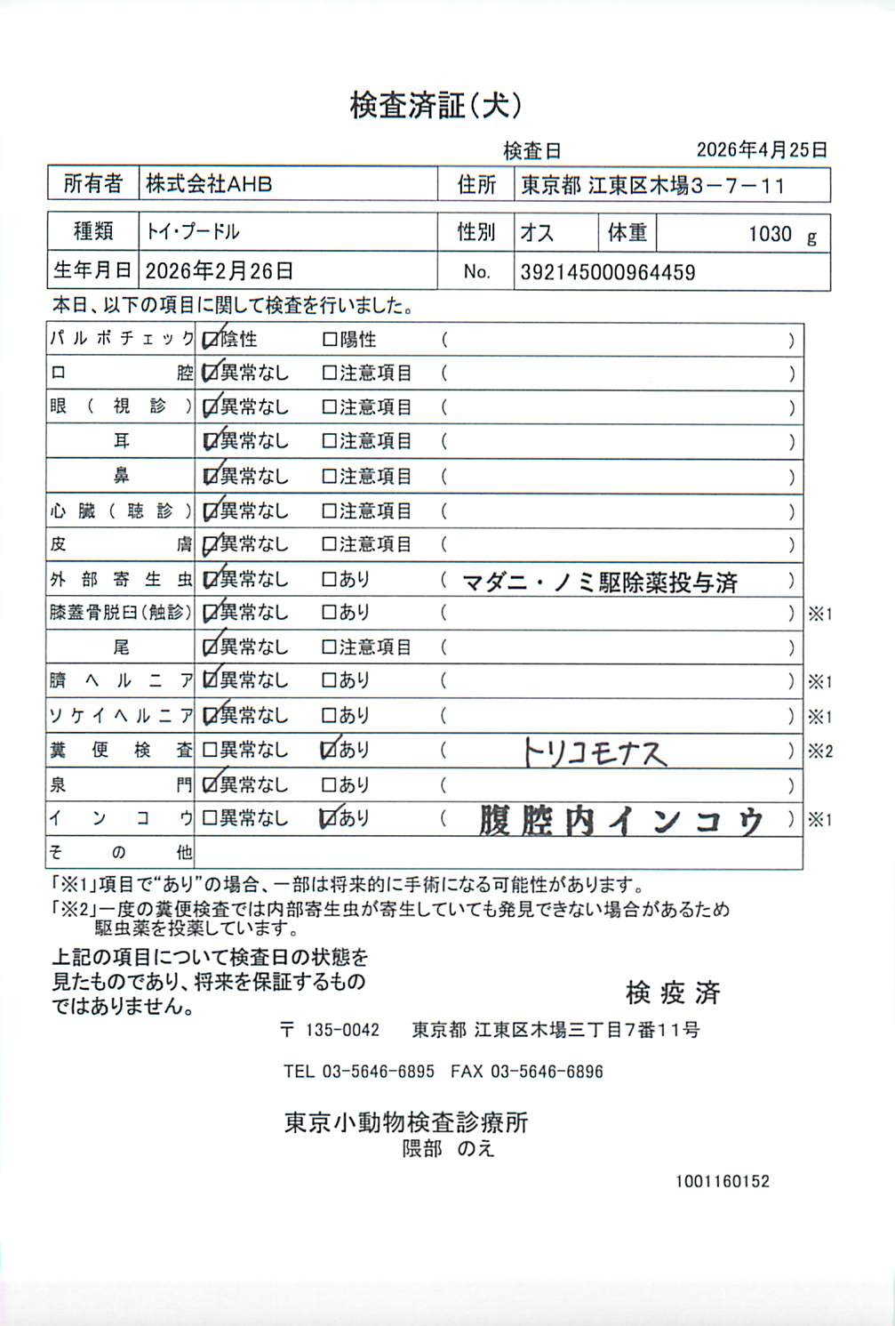 トイ・プードル
