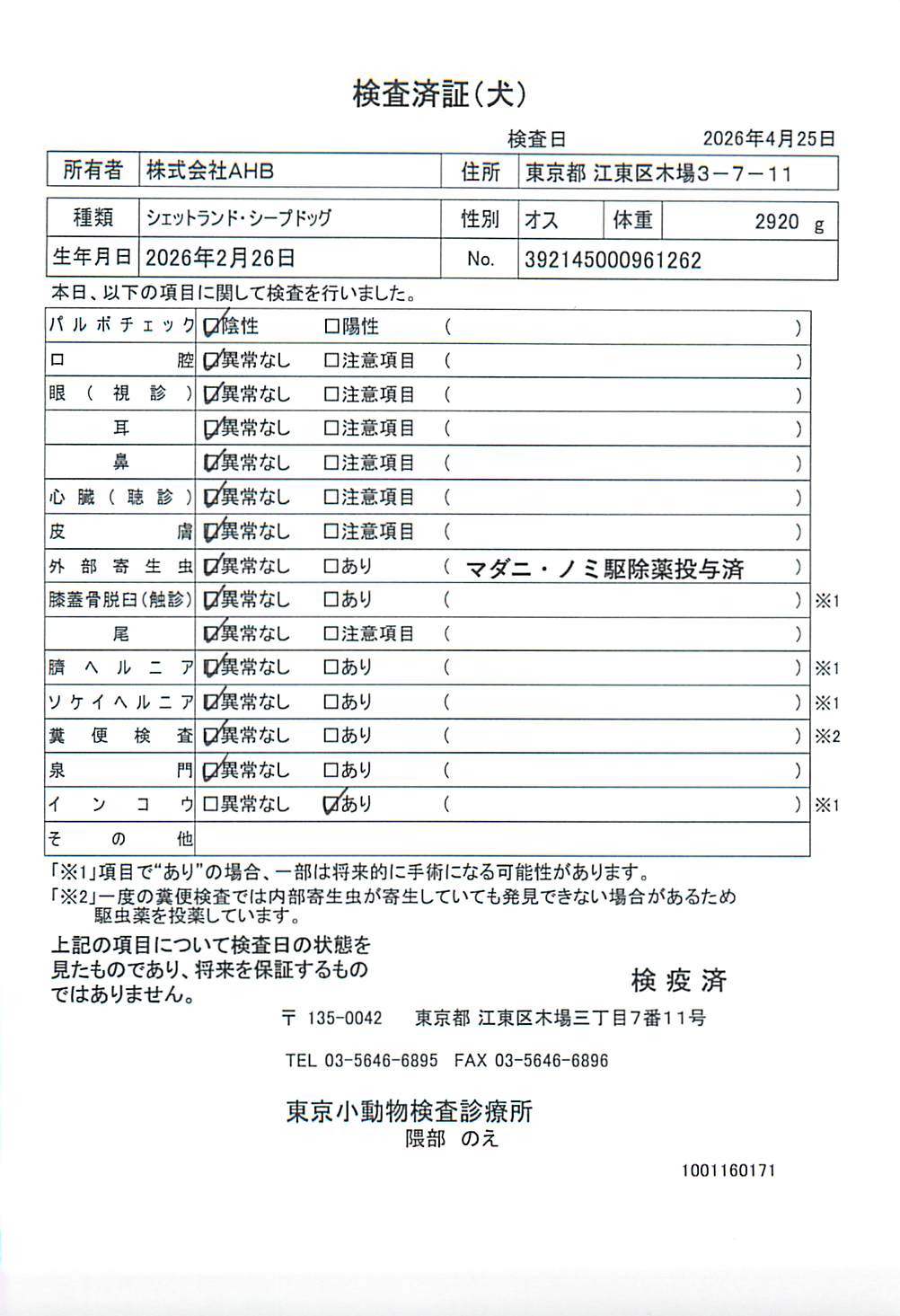シェットランド・シープドッグ