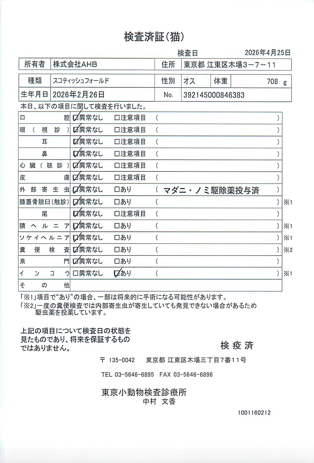 スコティッシュフォールド