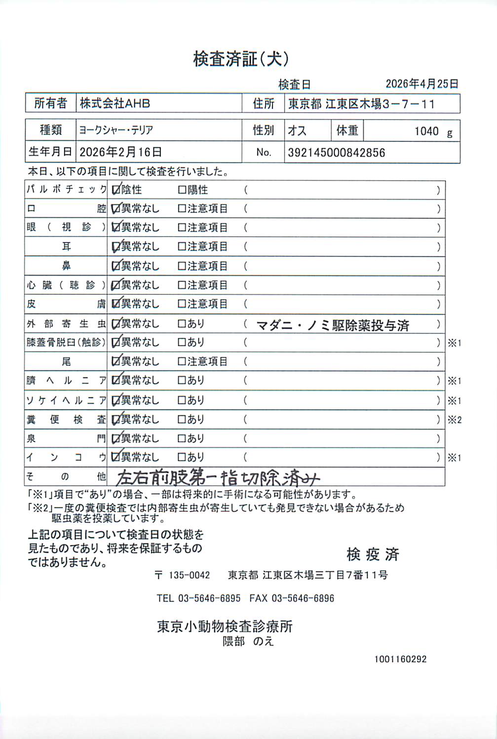 ヨークシャー・テリア