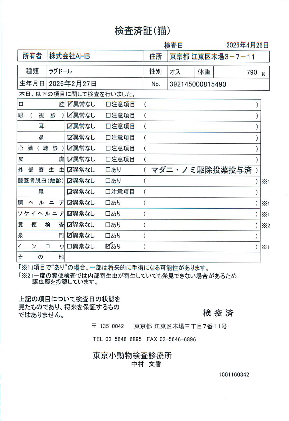 ラグドール