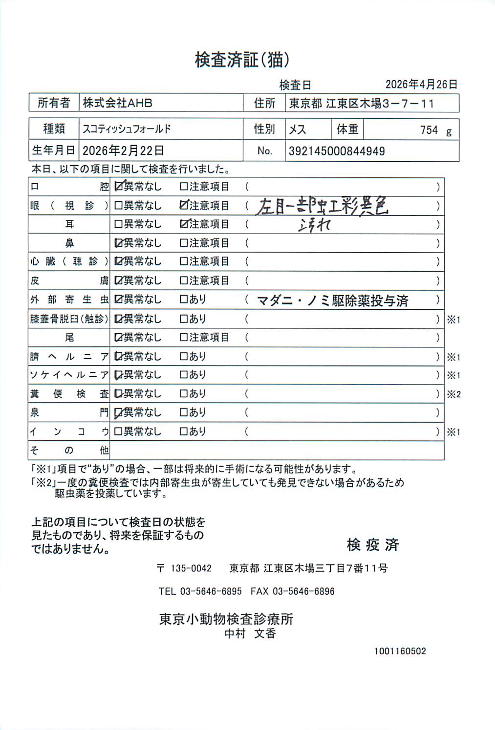 スコティッシュフォールド