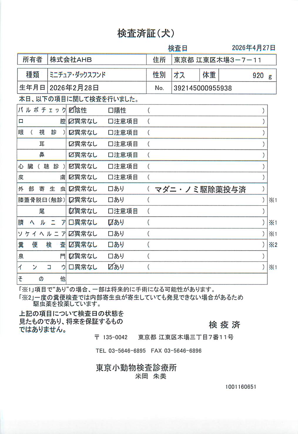 ミニチュア・ダックスフンド