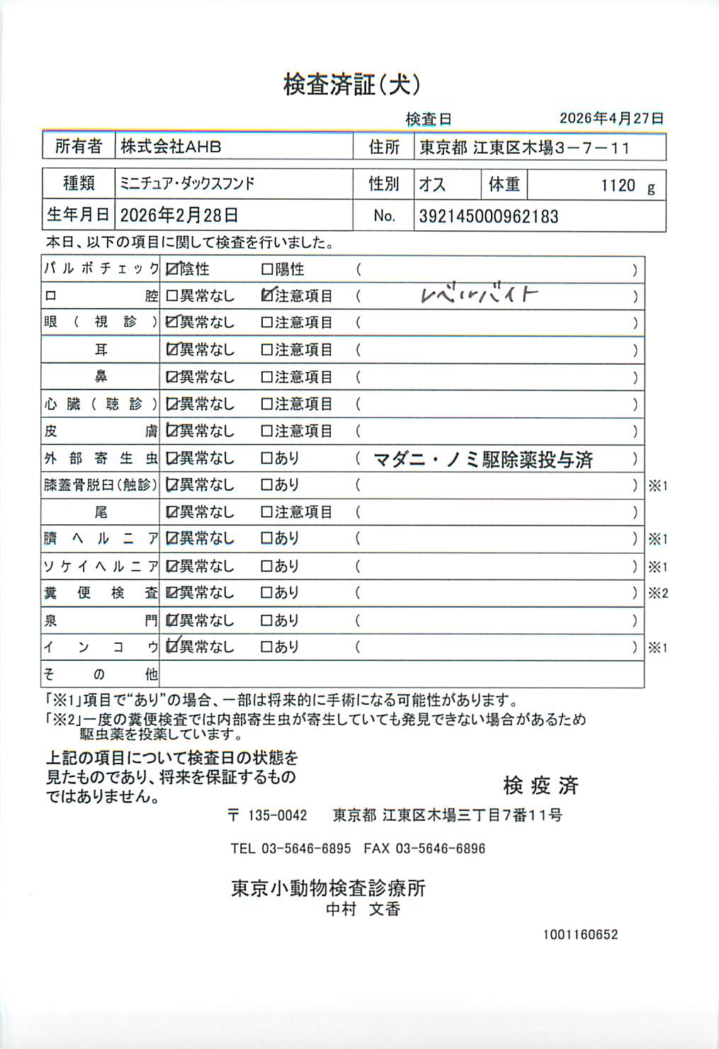 ミニチュア・ダックスフンド