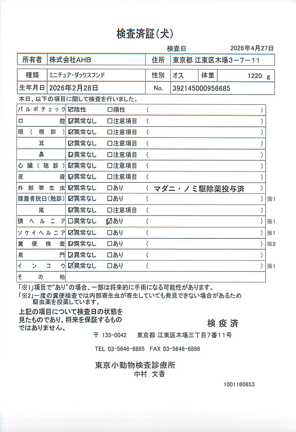 ミニチュア・ダックスフンド