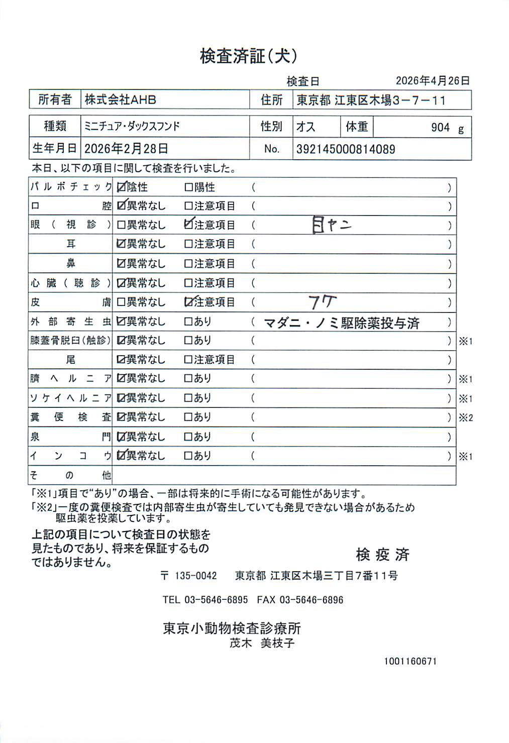 ミニチュア・ダックスフンド