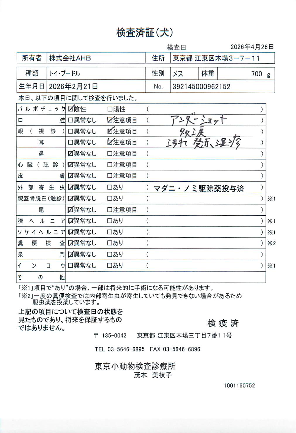 トイ・プードル