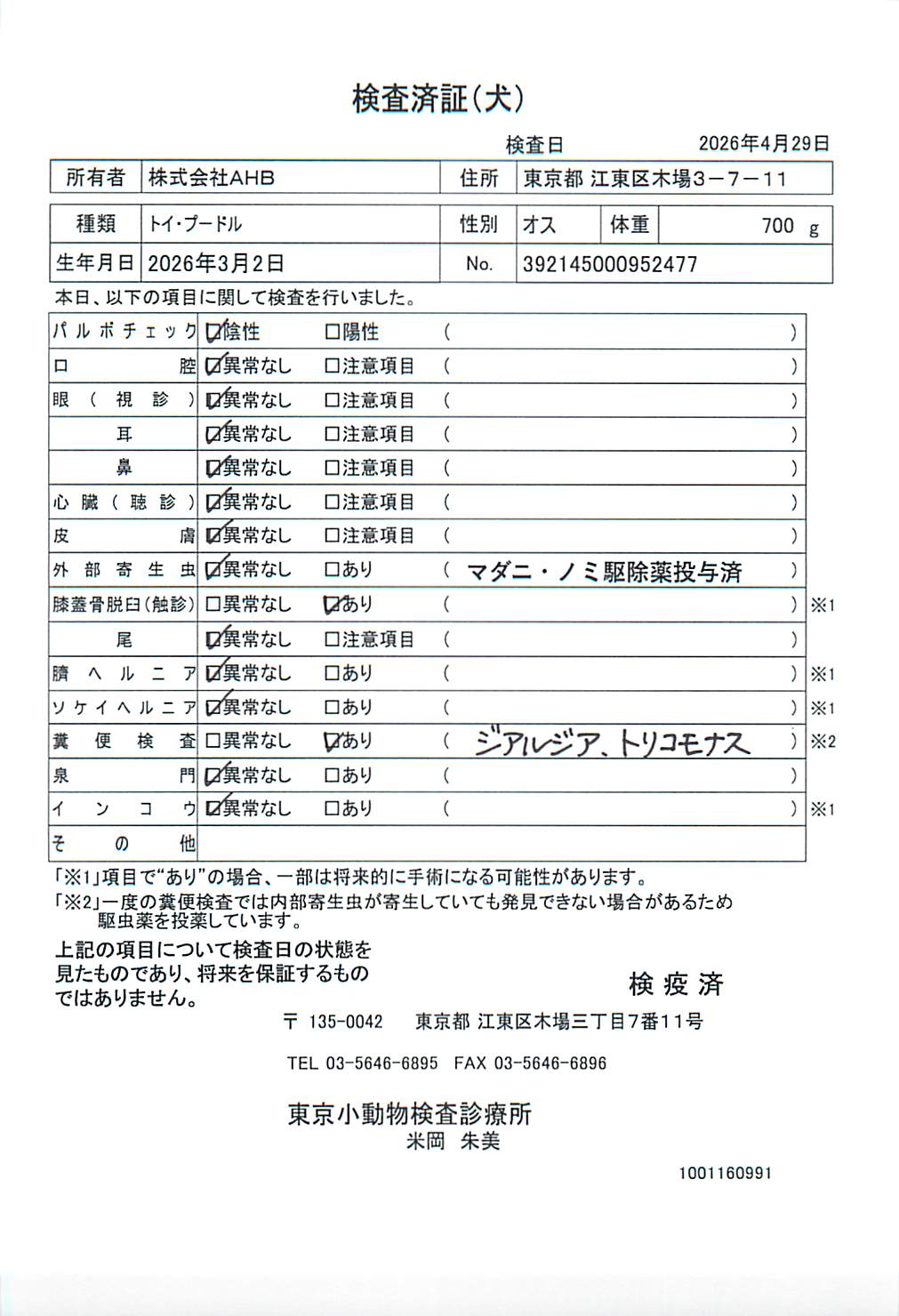 トイ・プードル