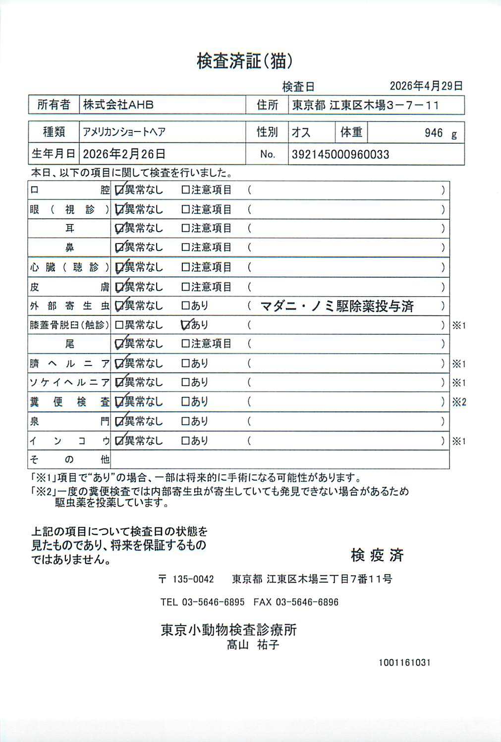 アメリカンショートヘア