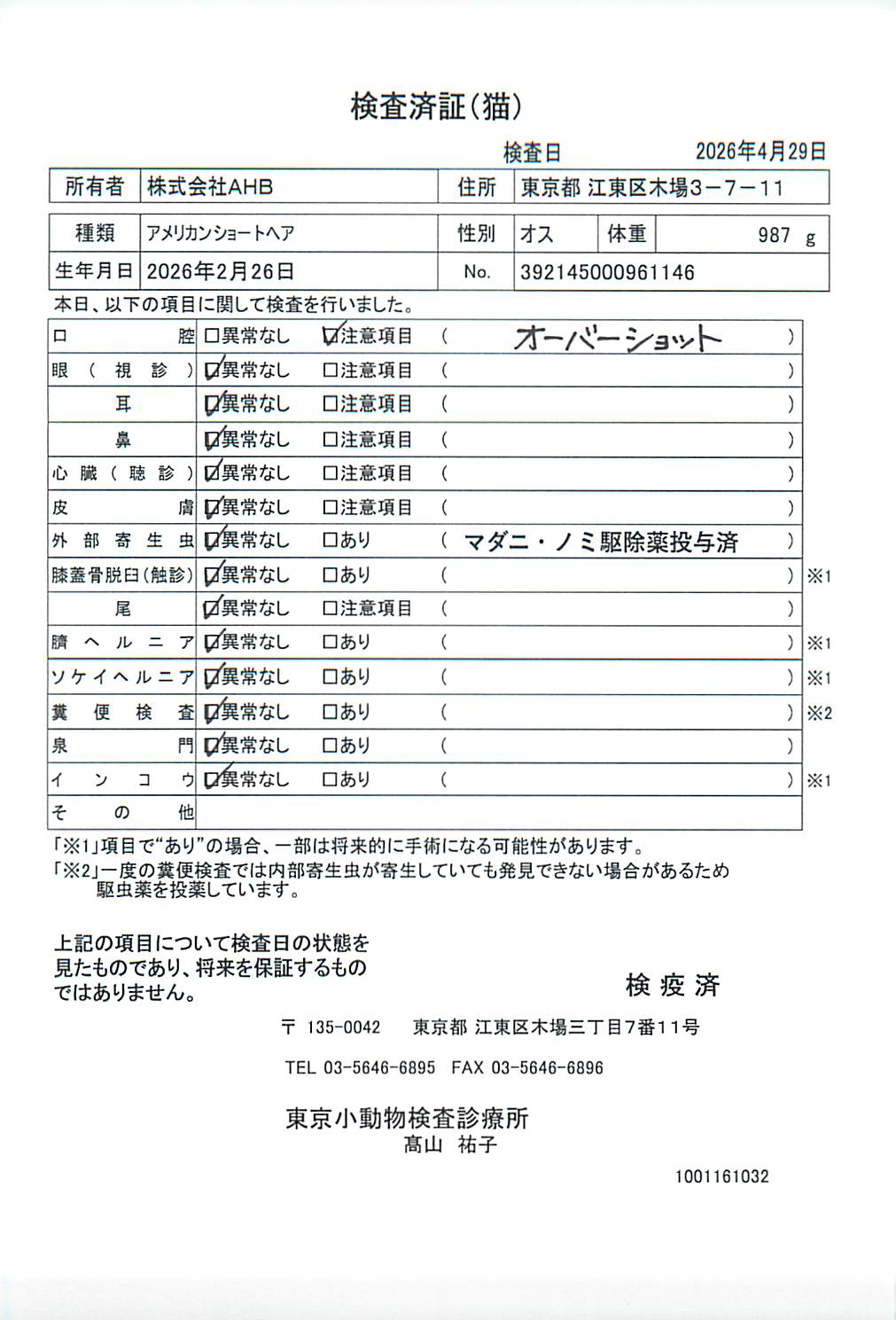 アメリカンショートヘア