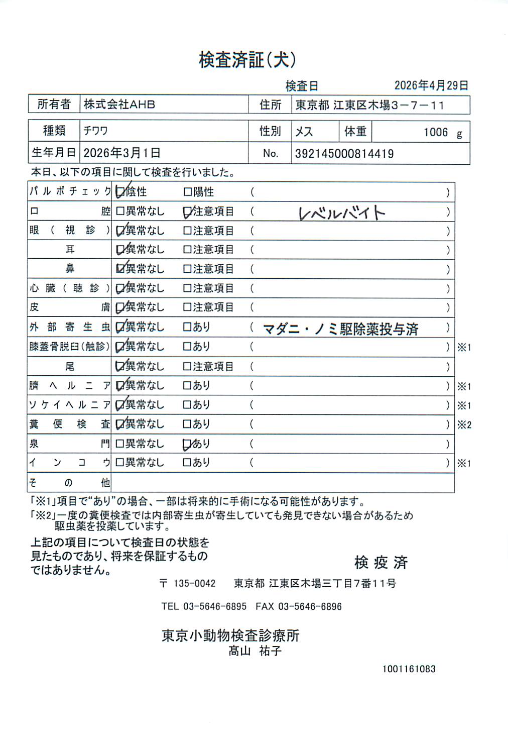 チワワ