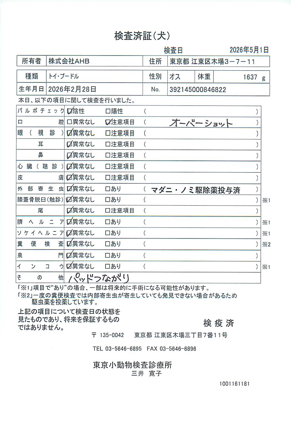 トイ・プードル