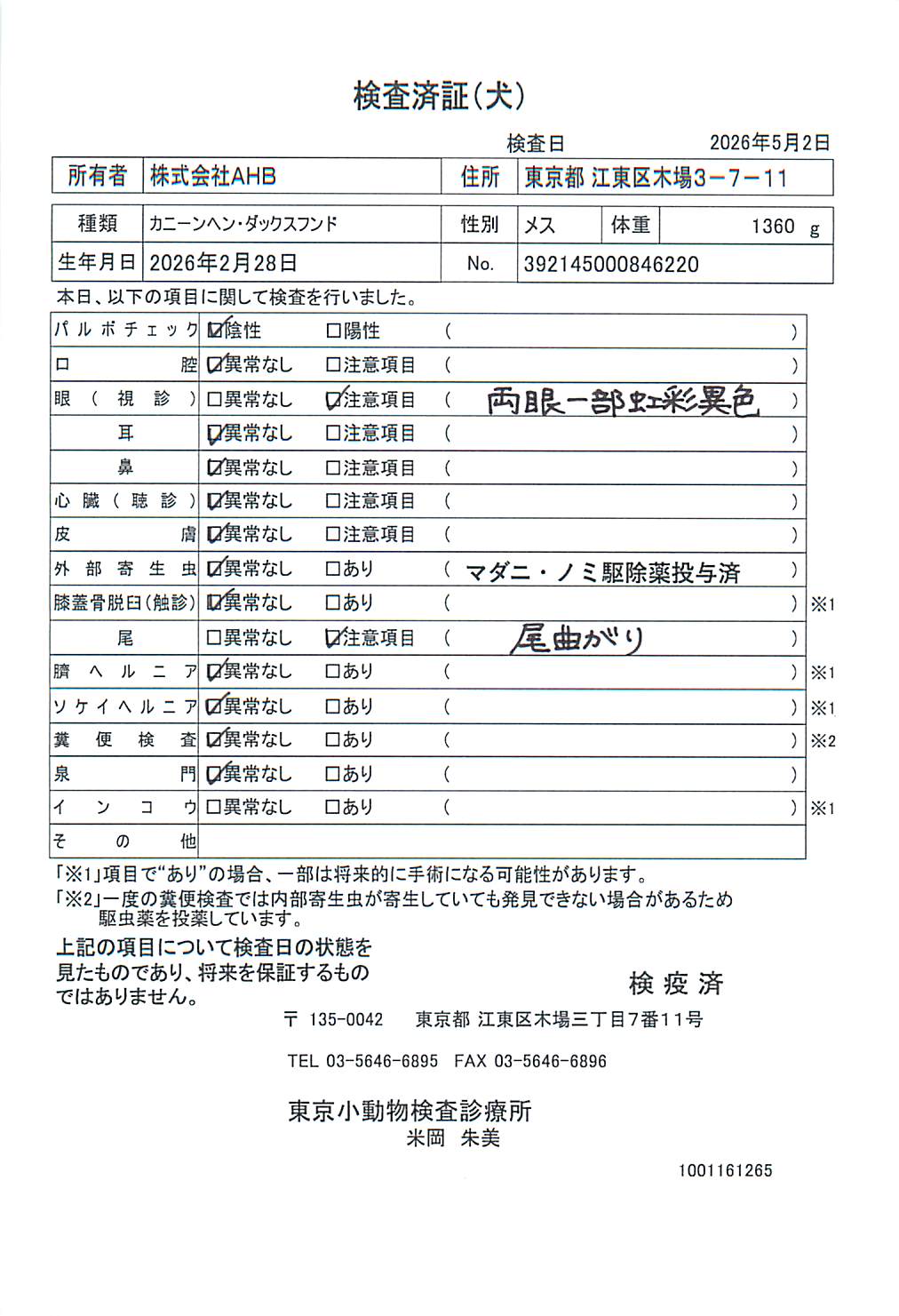 カニーンヘン・ダックスフンド