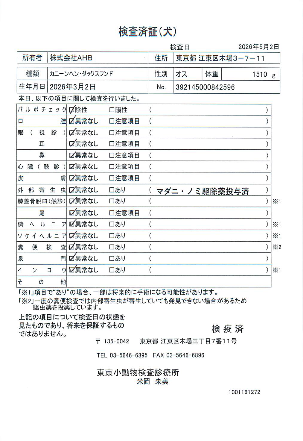 カニーンヘン・ダックスフンド