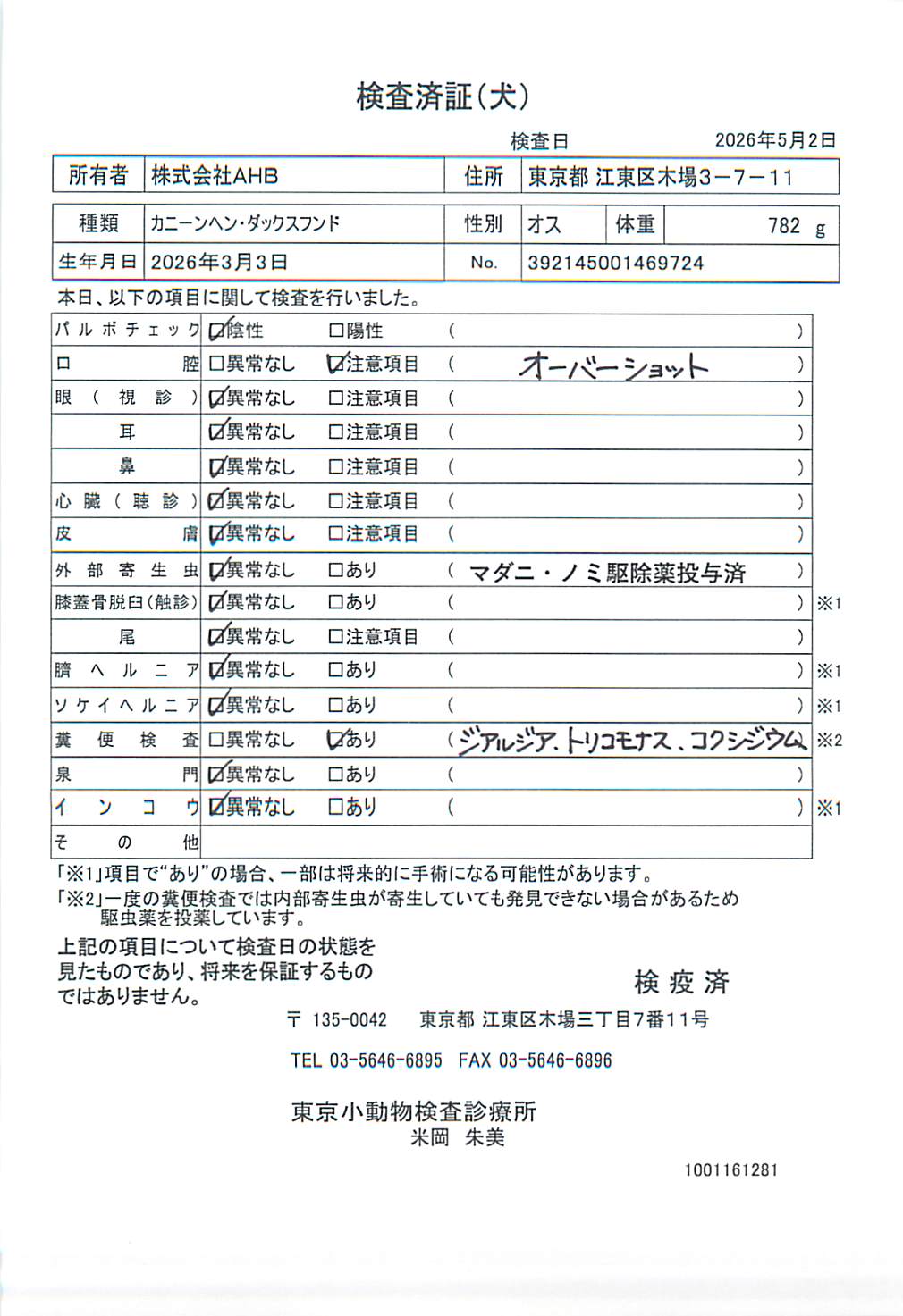 カニーンヘン・ダックスフンド