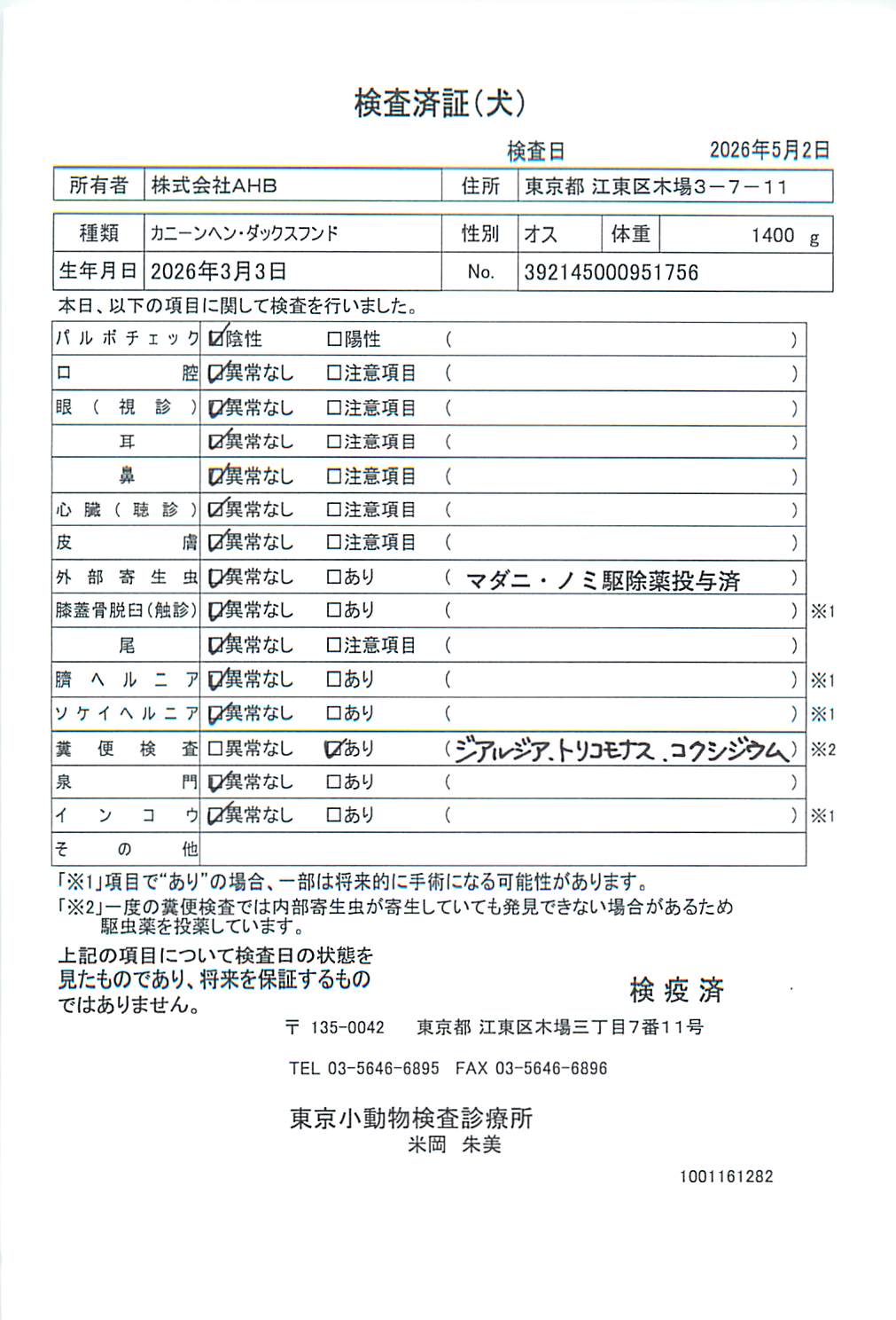 カニーンヘン・ダックスフンド