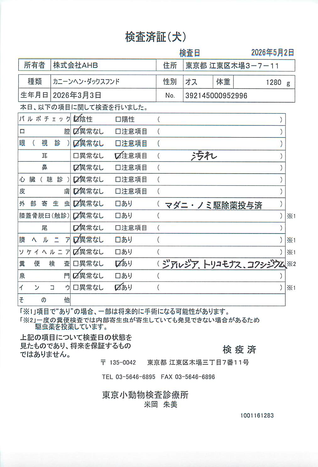 カニーンヘン・ダックスフンド