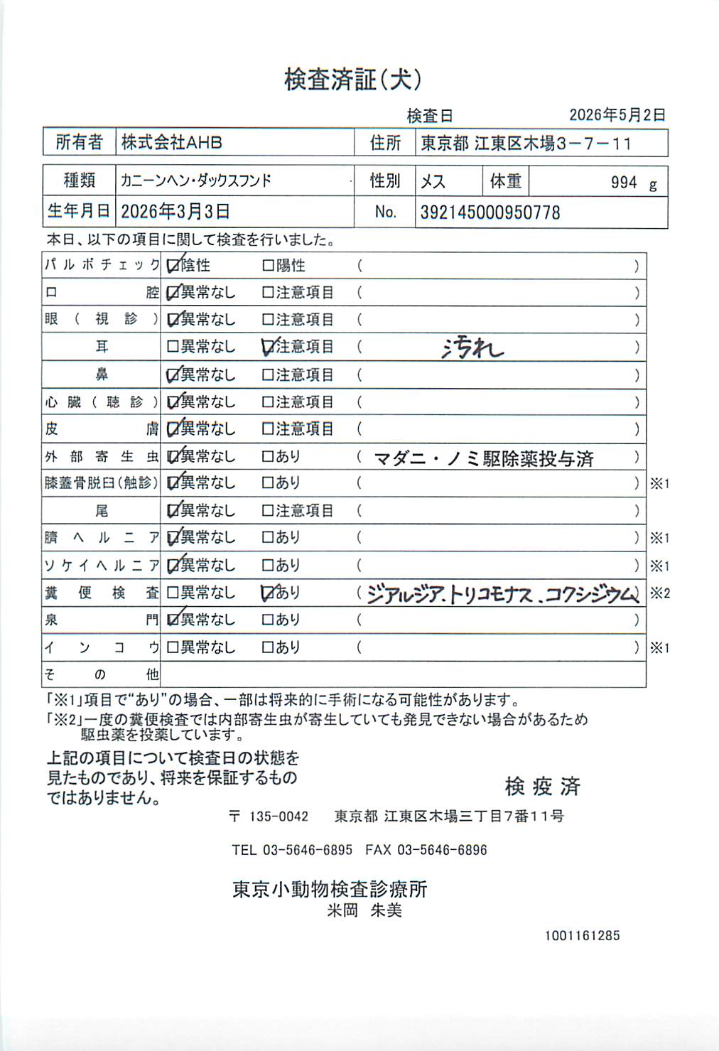 カニーンヘン・ダックスフンド