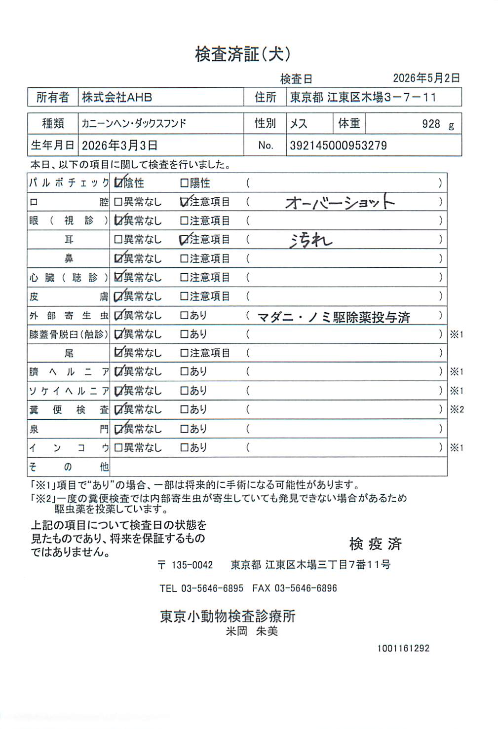 カニーンヘン・ダックスフンド