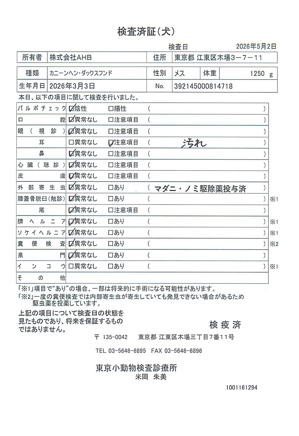 カニーンヘン・ダックスフンド