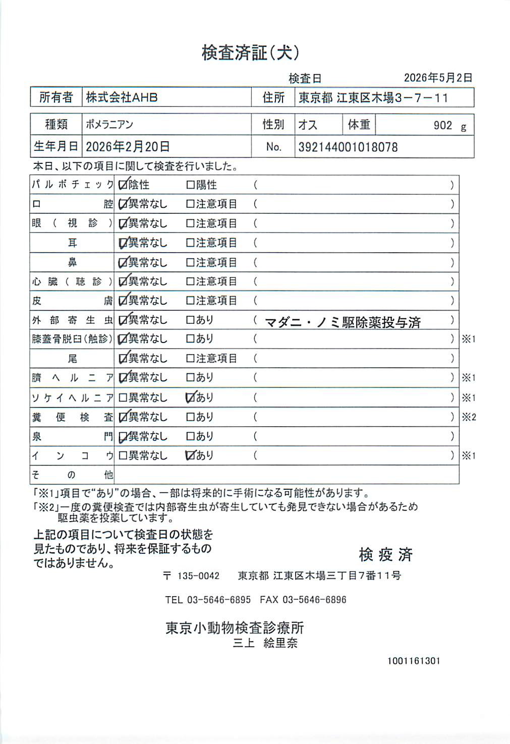 ポメラニアン