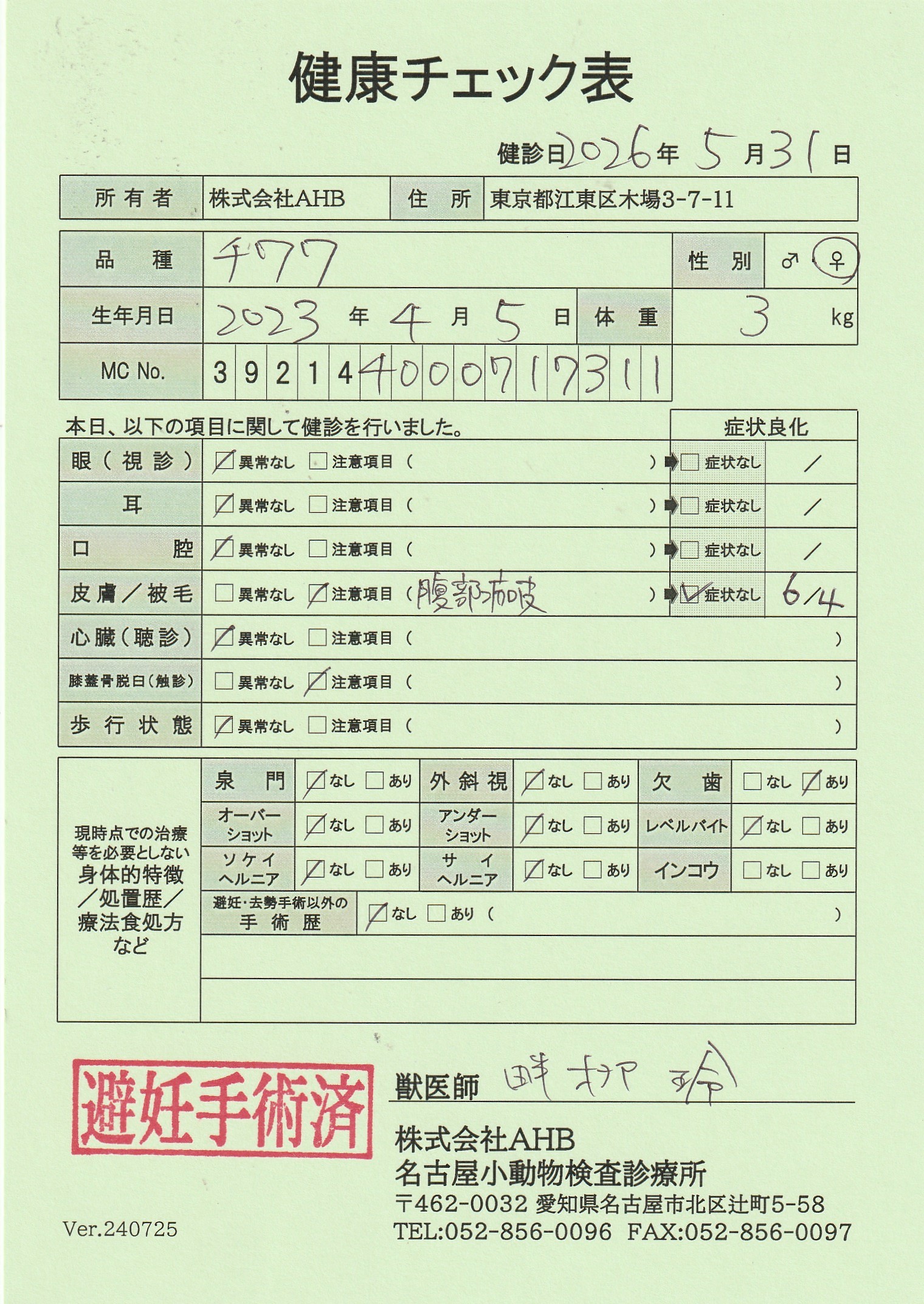 チワワ