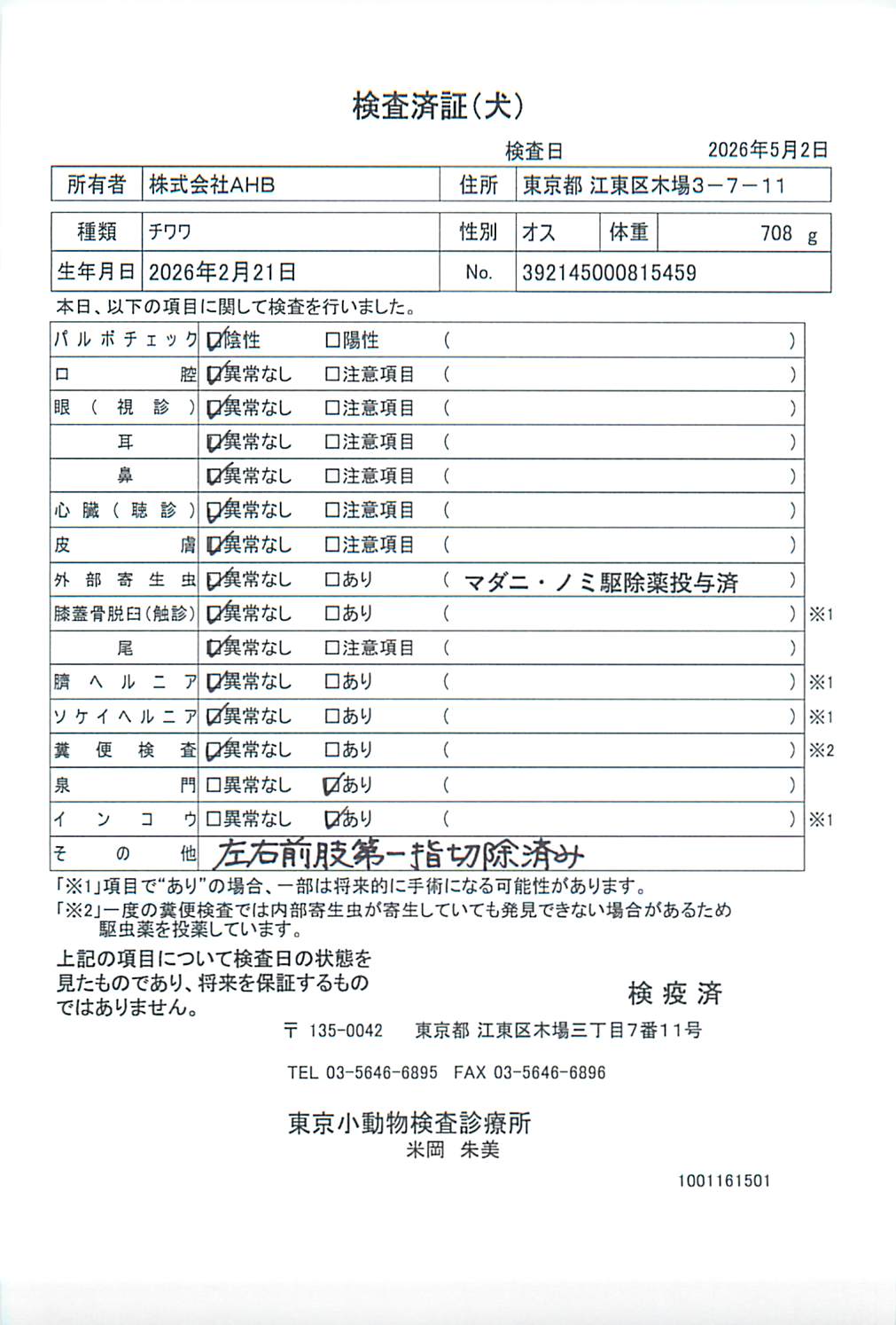 チワワ