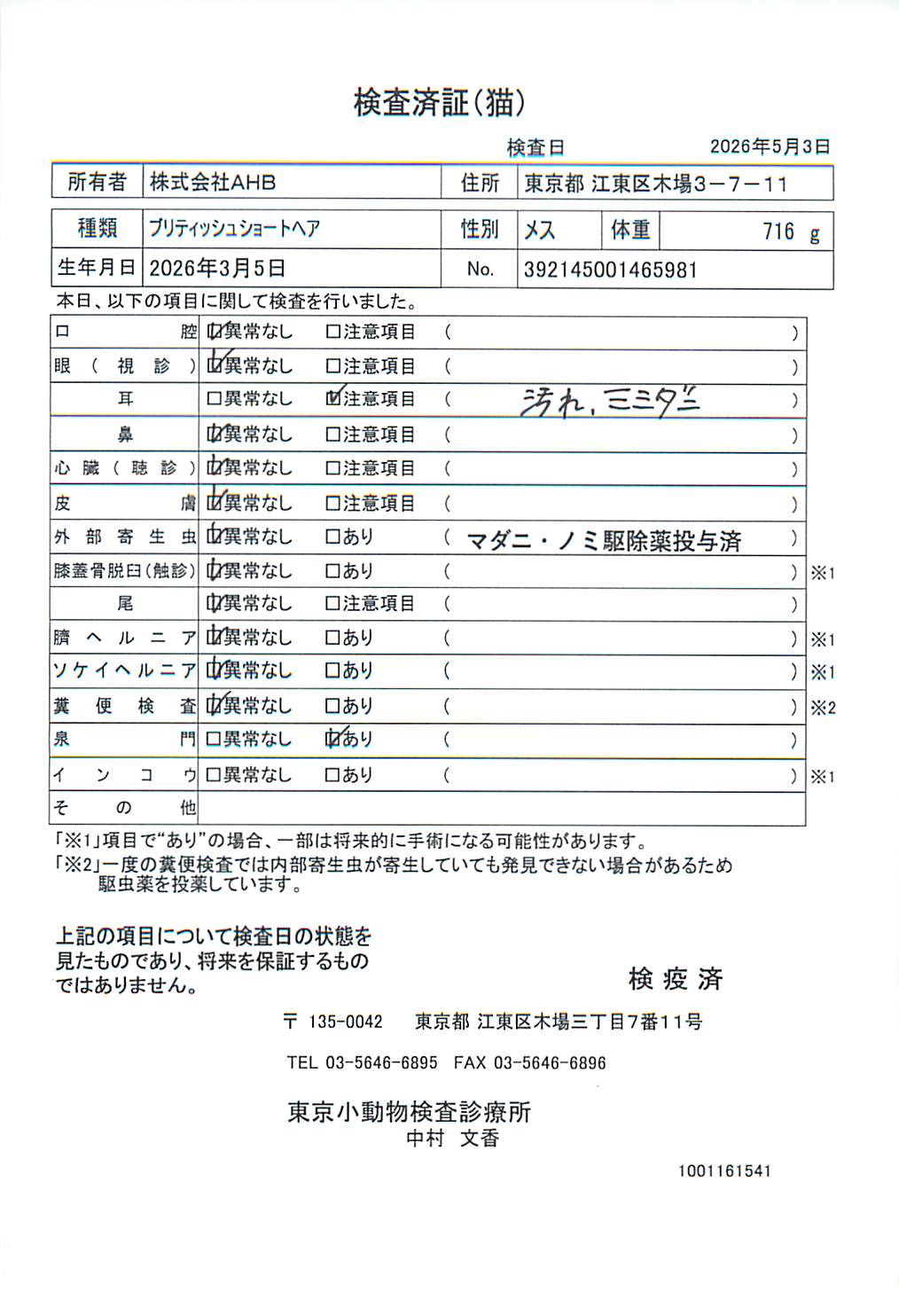 ブリティッシュショートヘア