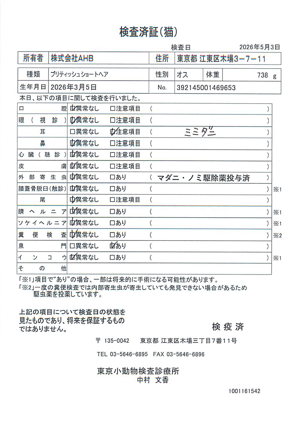 ブリティッシュショートヘア