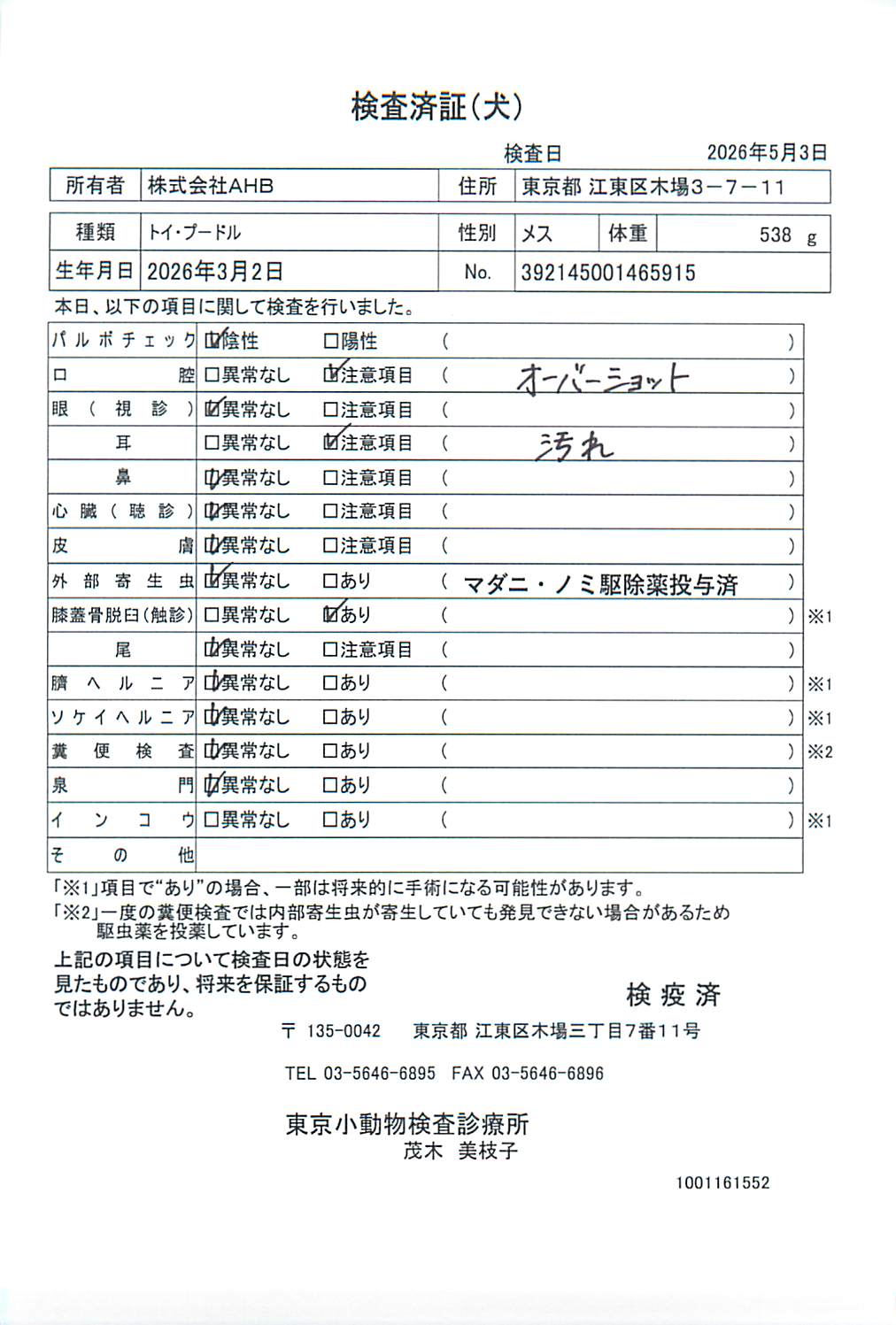 トイ・プードル