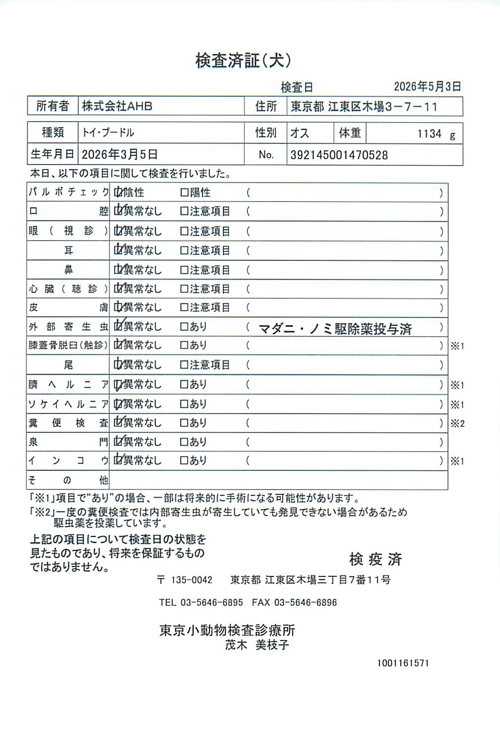 トイ・プードル