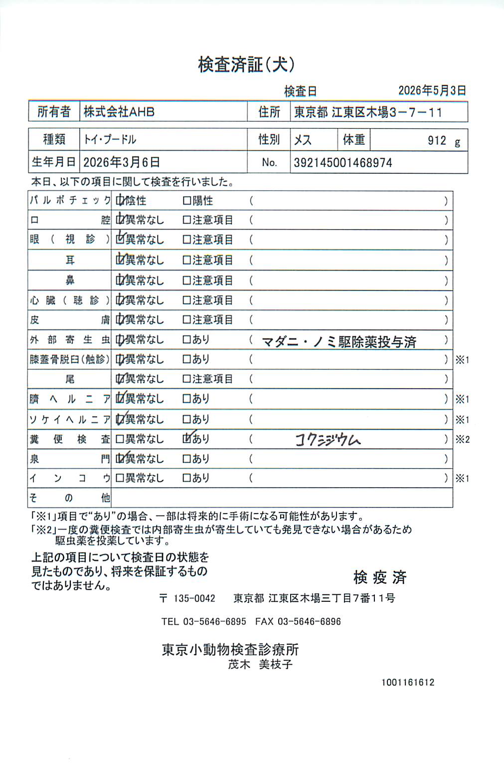トイ・プードル
