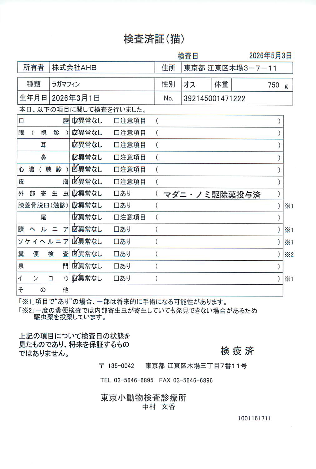 ラガマフィン